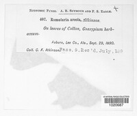 Image Associated With the Occurence